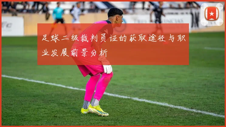 足球二级裁判员证的获取途径与职业发展前景分析