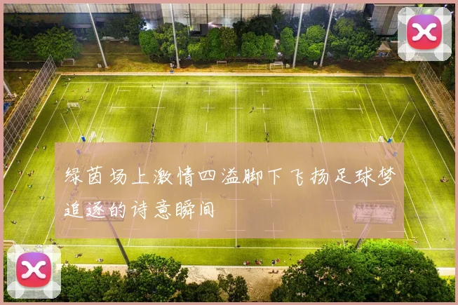 绿茵场上激情四溢脚下飞扬足球梦追逐的诗意瞬间